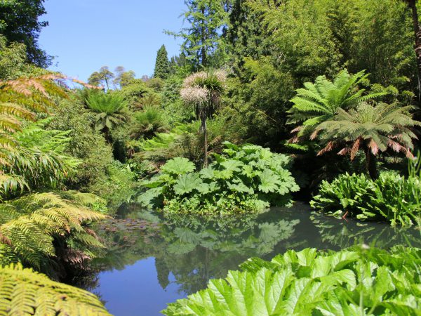 Heligan Gardens