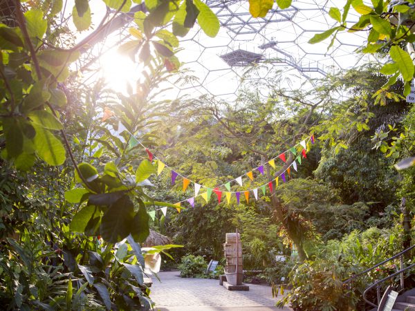 The Eden Project