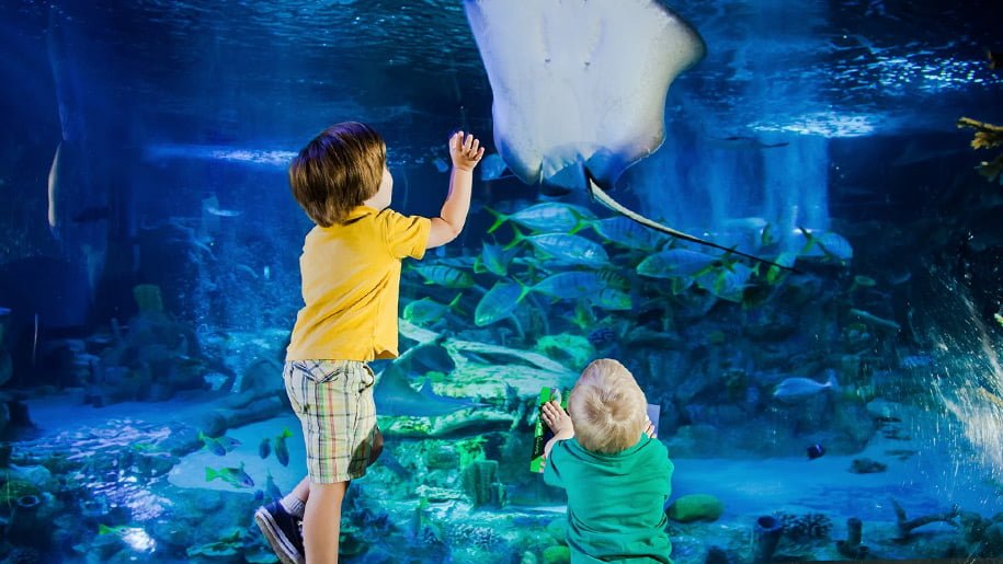 Two children reaching out for a stingray at the Blue Reef Aquariam in Newquay on a rainy day in Cornwall