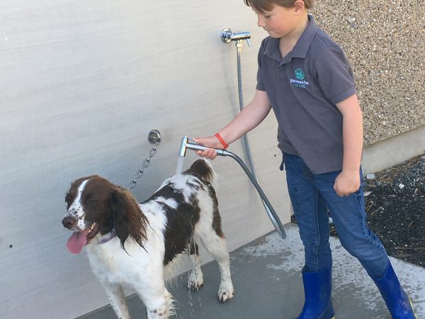 Dog being washed at the dog friendly campsite, Polmanter Touring Park St Ives