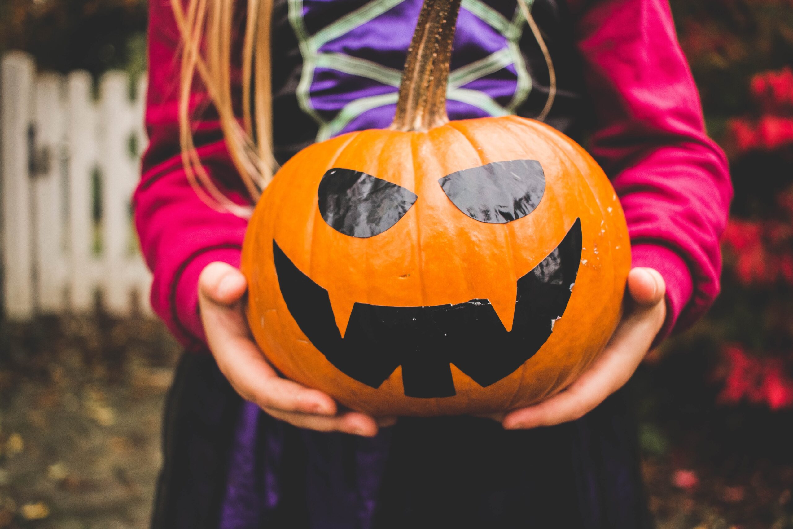 Child holding a pumpkin for October half term