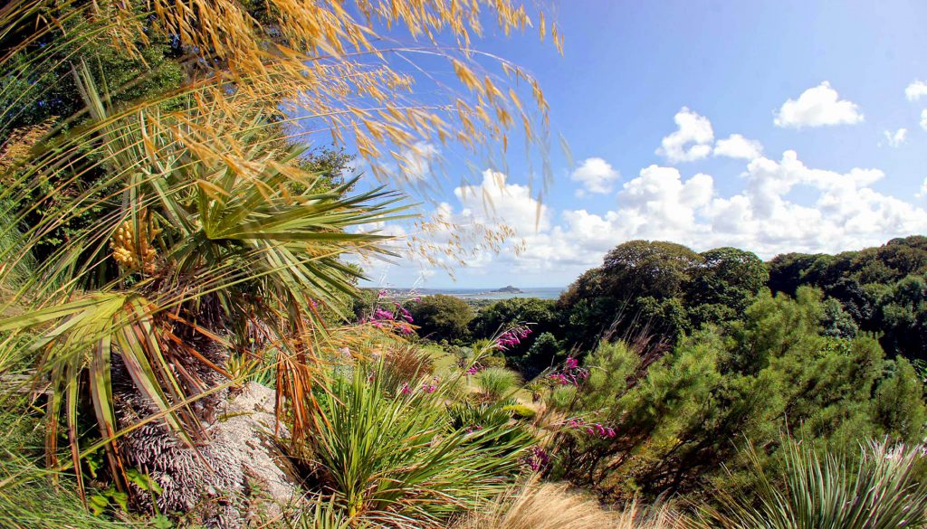 View from St Ives attraction Tremenheere Sculpture Gardens 