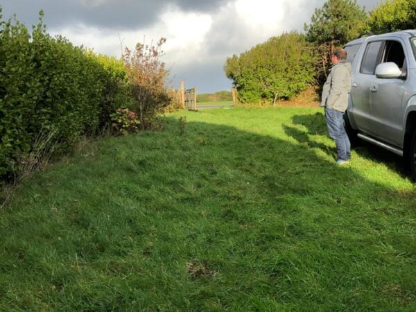 Over grown garden at the Polmanter holiday cottage renovation