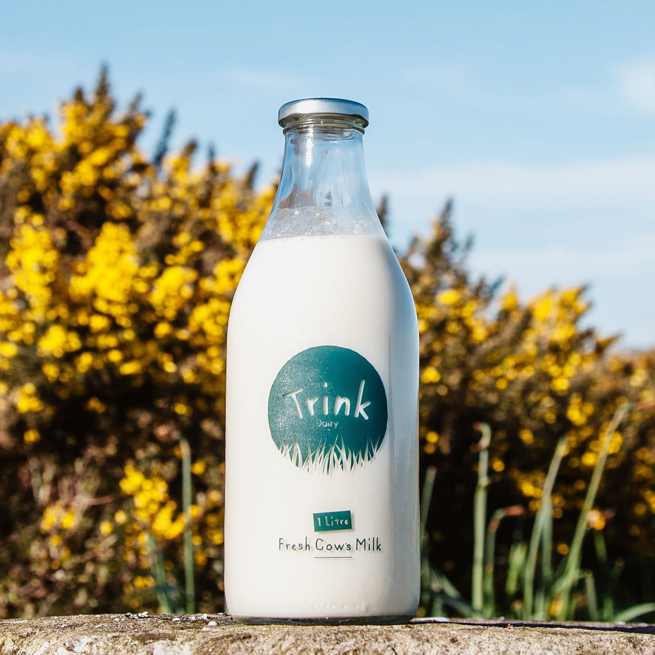 Trink Dairy Milk in outdoor setting
