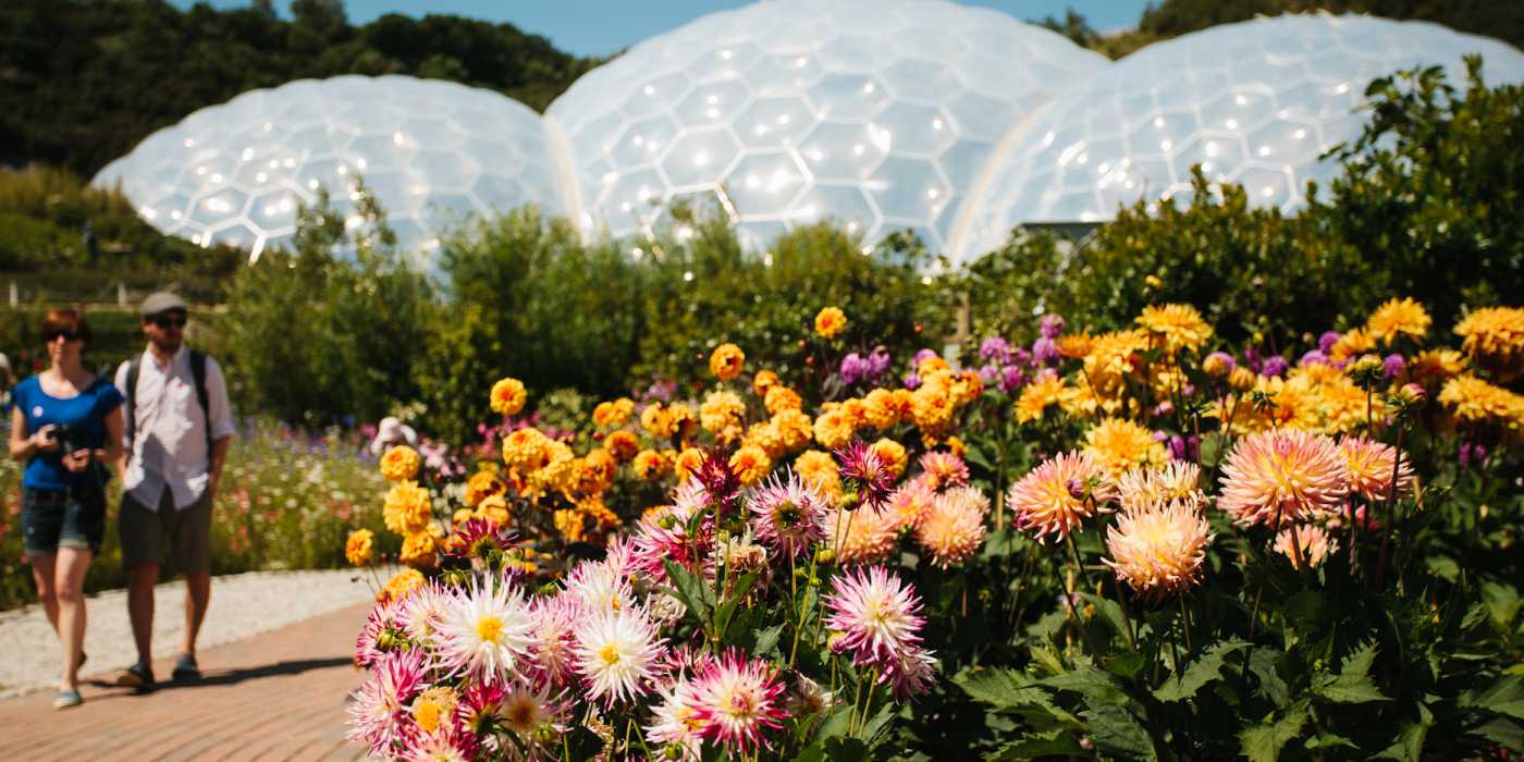 Couple walking next to brightly coloured flowers with the Eden biomes in the background