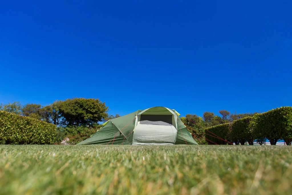 Green tent pitched between privacy hedges with bright blue sky