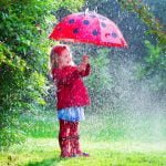 Rainy day activities near Polmanter St Ives